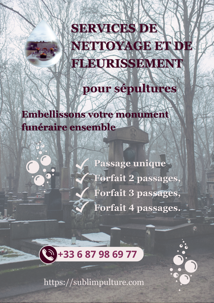 Services et Forfaits d’interventions